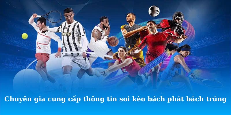 Đội ngũ chuyên gia cung cấp thông tin soi kèo bách phát bách trúng